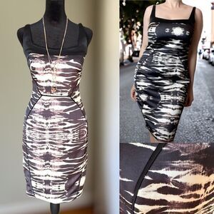 JAYGODFREY Zebra Animal Print Square Neck Dress Size 4